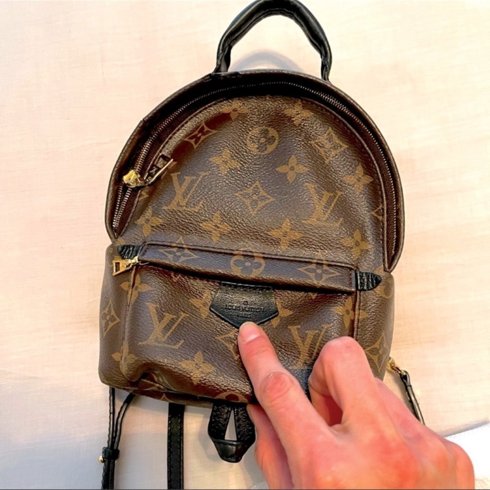 Louis Vuitton Palm Springs Mini Backpack